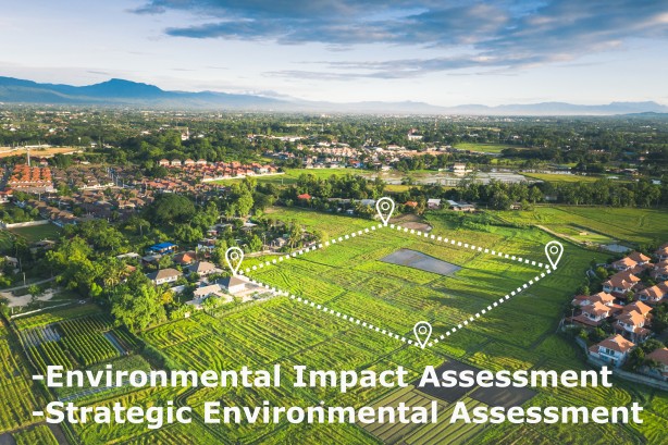 ENVIRONMENTAL IMPACT ASSESSMENTS